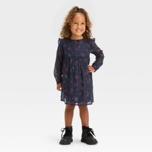 OshKosh girls  Floral Print Metallic Chiffon Dress 3T
